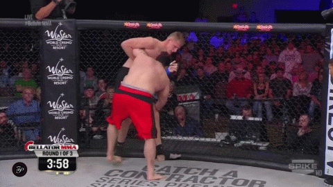 http://cdn.fansided.com/gif/Mark_Holata_vs._Alexander_Volkov.gif