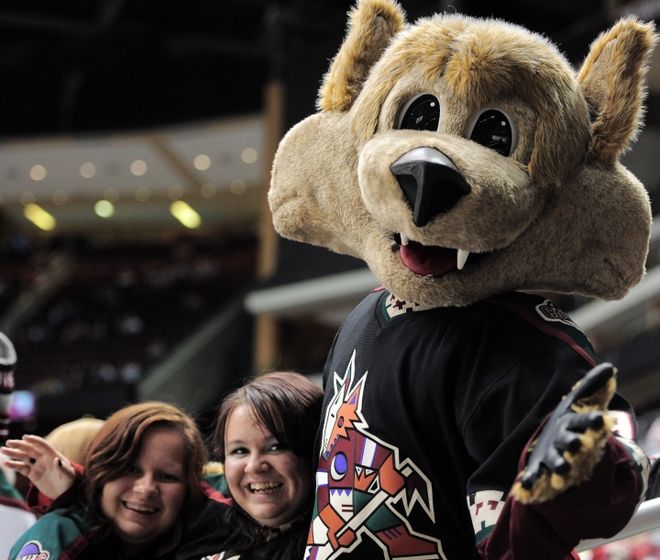 Arizona Coyotes