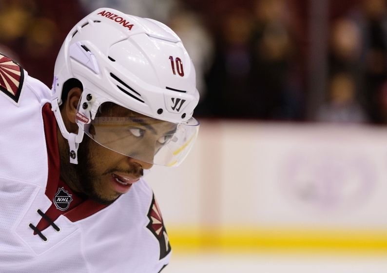 Arizona Coyotes