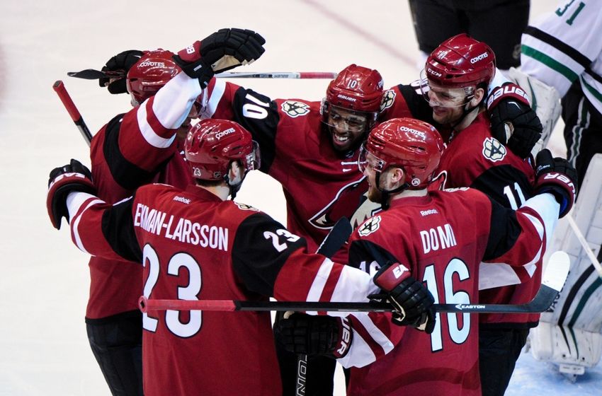 arizona coyotes
