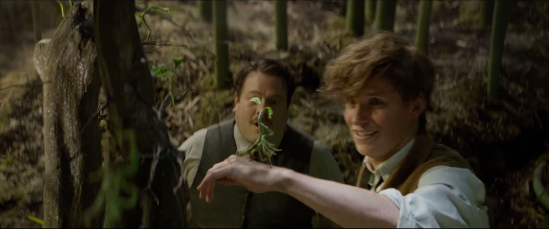 Online Fantastic Beasts And Where To Find Them 2016 Watch Film