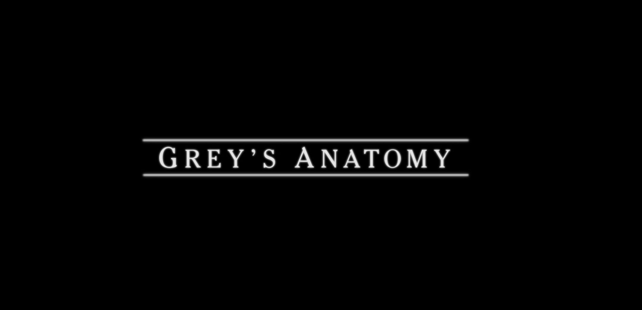 Grey’s Anatomy season 13, episode 9: Watch You Haven't Done Nothin' online