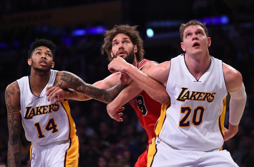 Robin Lopez, C, Chicago Bulls