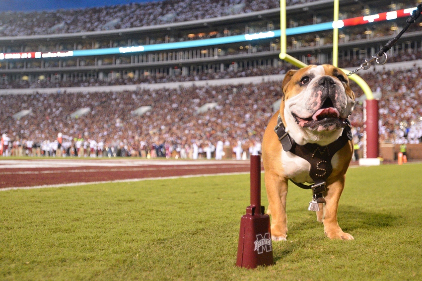 Sep 10, 2016; Starkville, MS, USA; Mississippi State Bulldogs live mascot Bully XXI is seen on the sidelines during the game against the South Carolina Gamecocks at Davis Wade Stadium. Mississippi State won 27-14. Mandatory Credit: Matt Bush-USA TODAY Sports