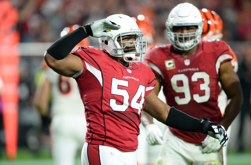 Nov 22, 2015; Glendale, AZ, USA; Arizona Cardinals linebacker Dwight Freeney (54) celebrates a sack against Cincinnati Bengals quarterback Andy Dalton (not pictured) at University of Phoenix Stadium. Mandatory Credit: Joe Camporeale-USA TODAY Sports