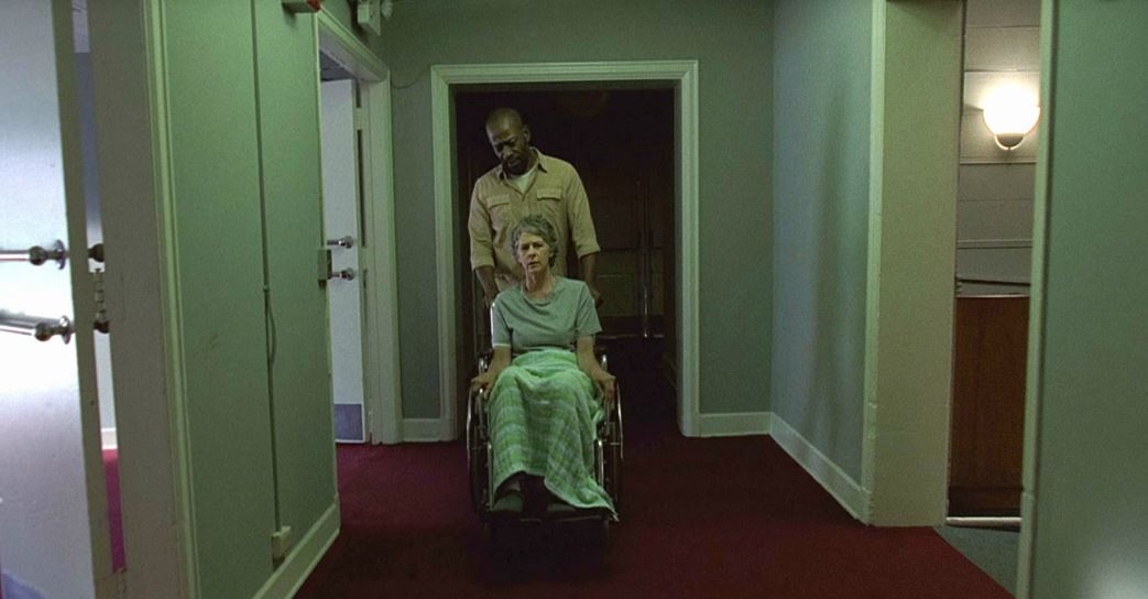 watch the walking useless on-line free season 3 undead live