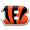Cin Bengals Cin Bengals
