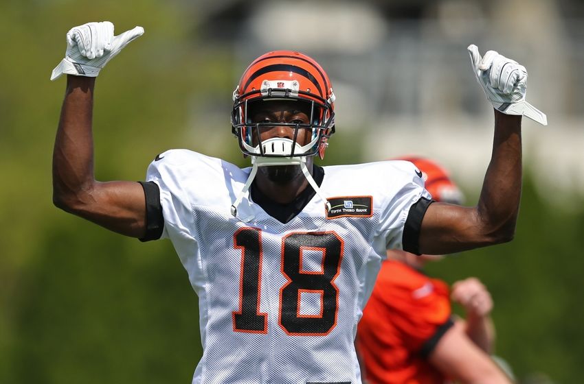 The Bengals Are Built To Win