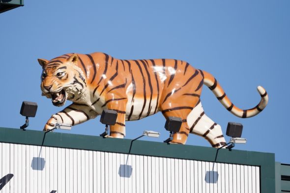 Detroit Tigers
