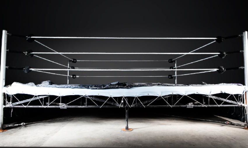 5 Best WWE InRing Performers Today