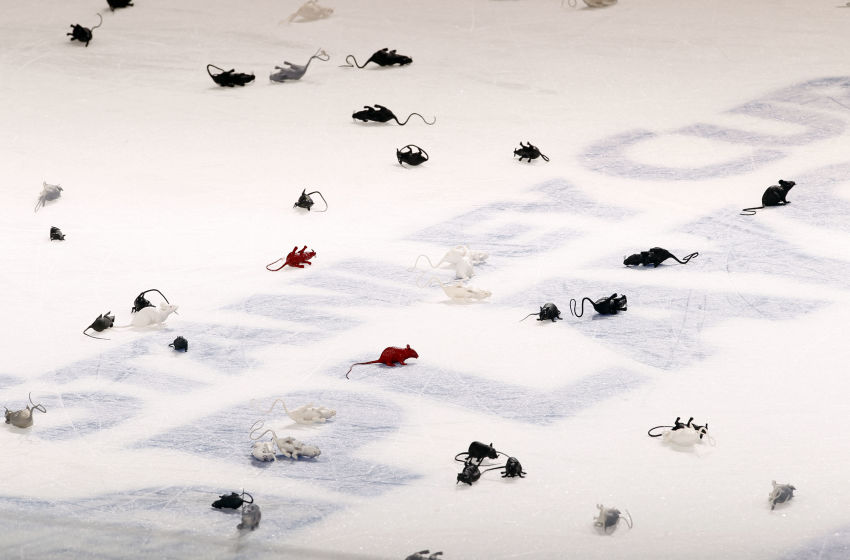 Panthers Game Delay The Official Explanation Finally - p08ubpm