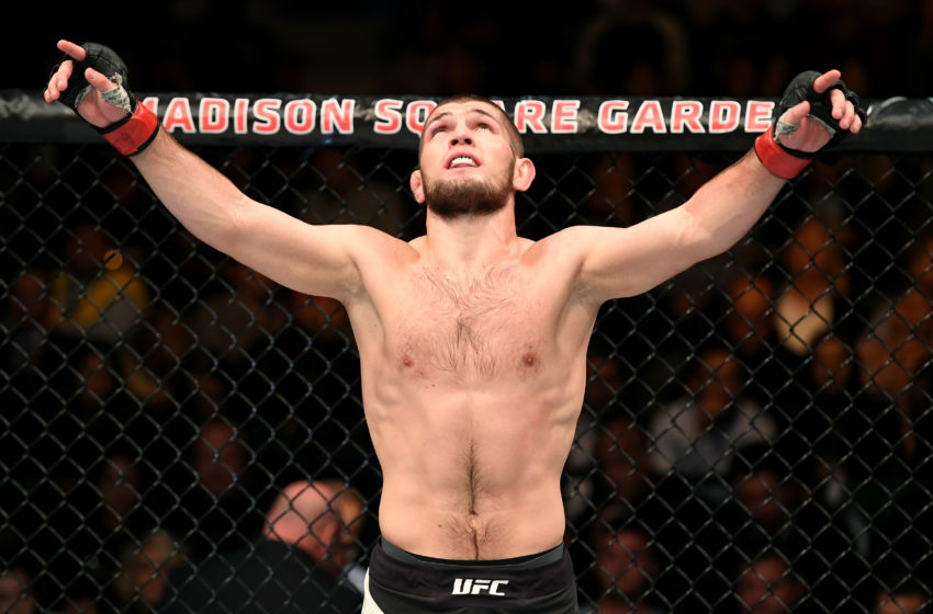 khabib nurmagomedov 205