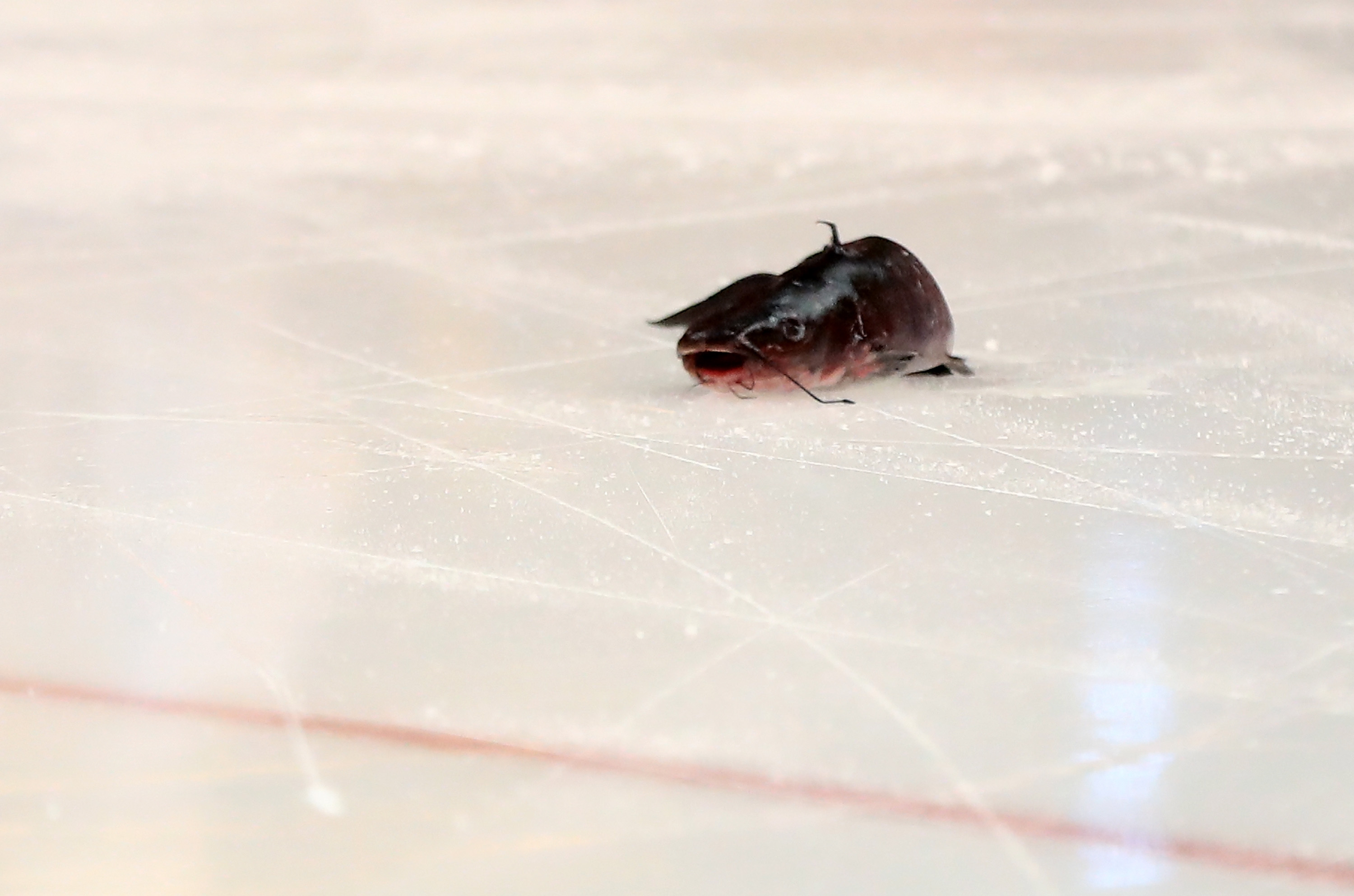 Predators fan throws catfish on ice during Game 1 (Video)