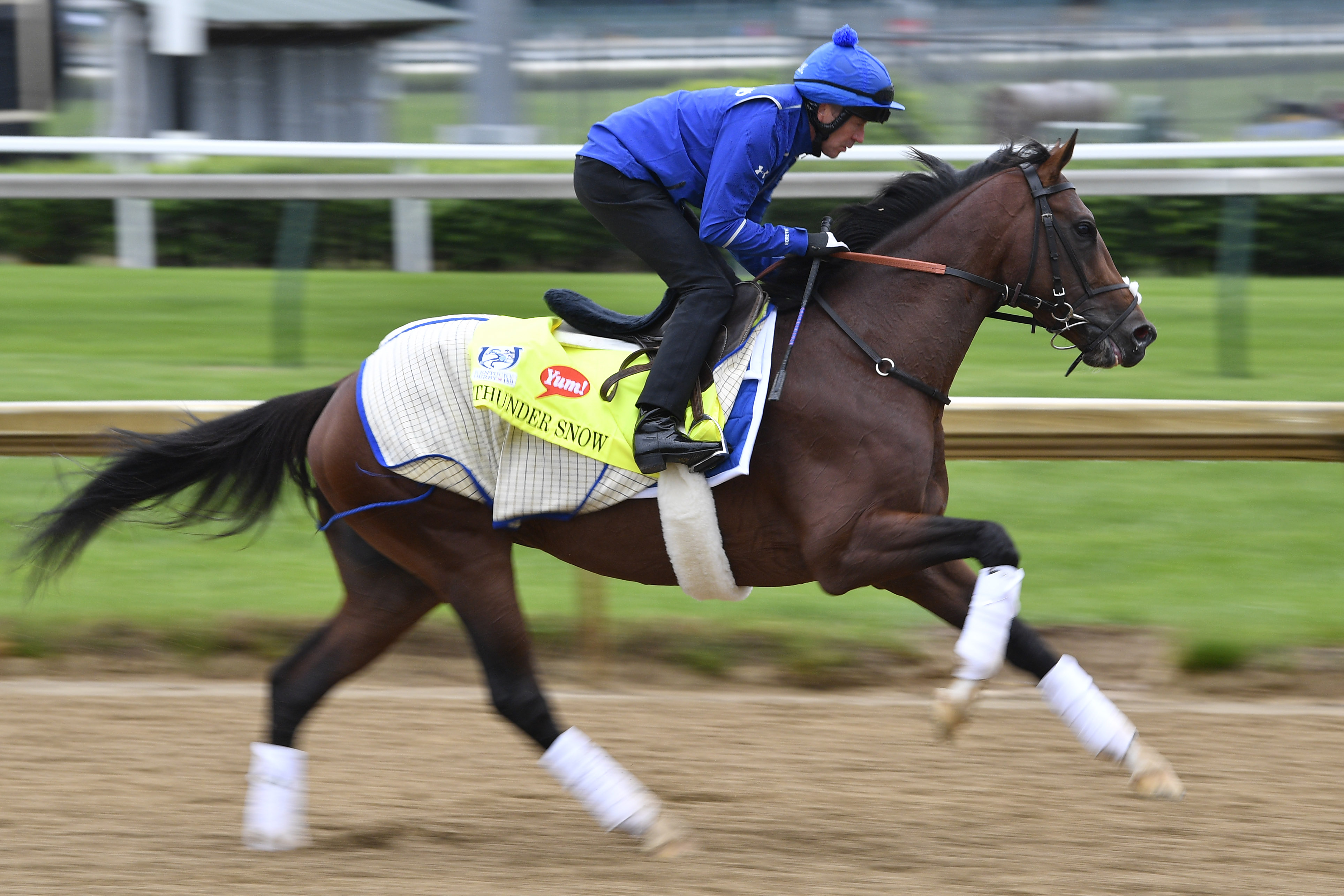 Will Thunder Snow race in the 2017 Preakness Stakes?