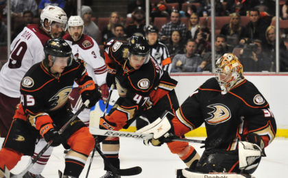 anaheim ducks