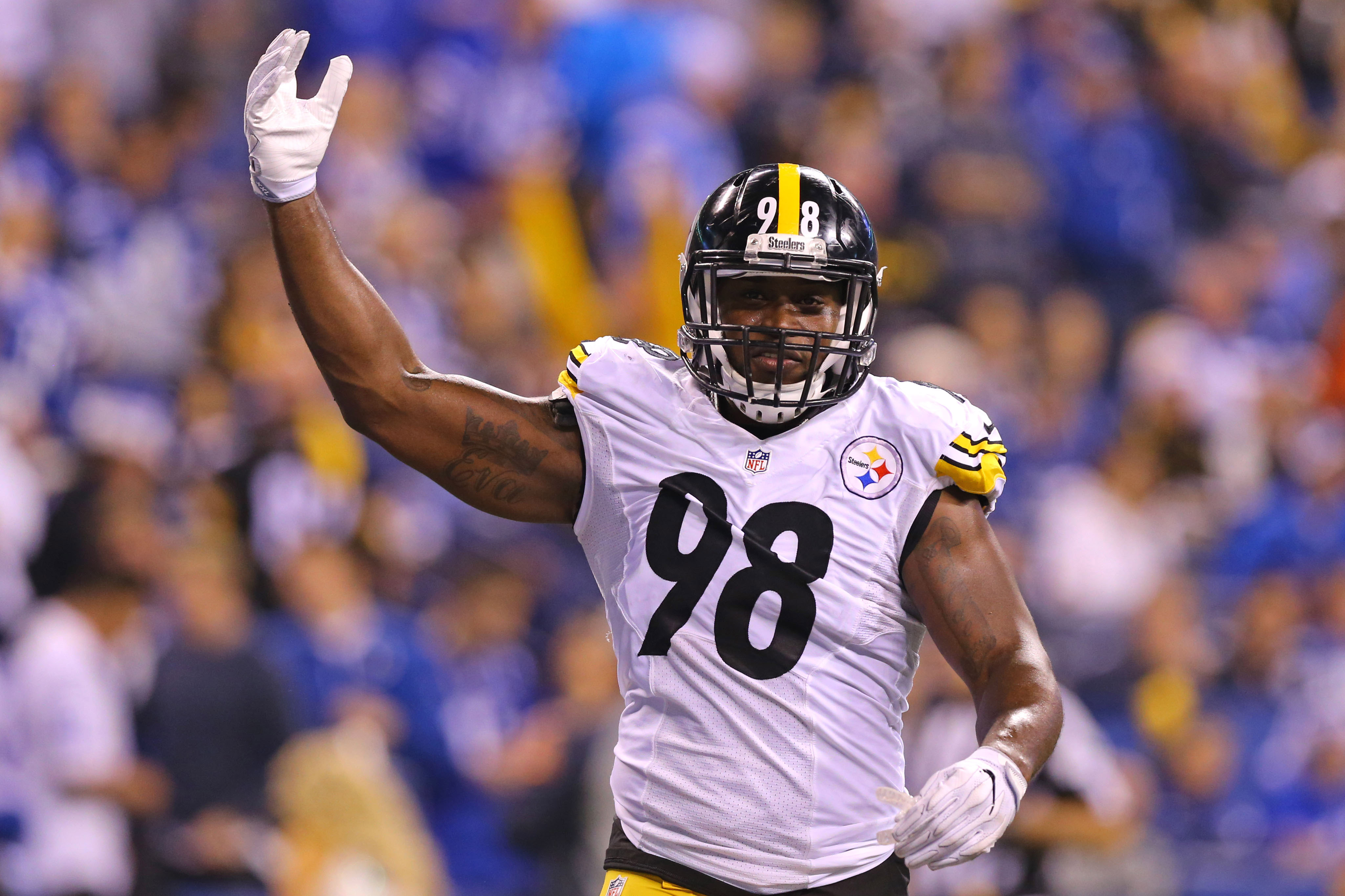 Pittsburgh Steelers: Vince Williams ready to step up in 2017