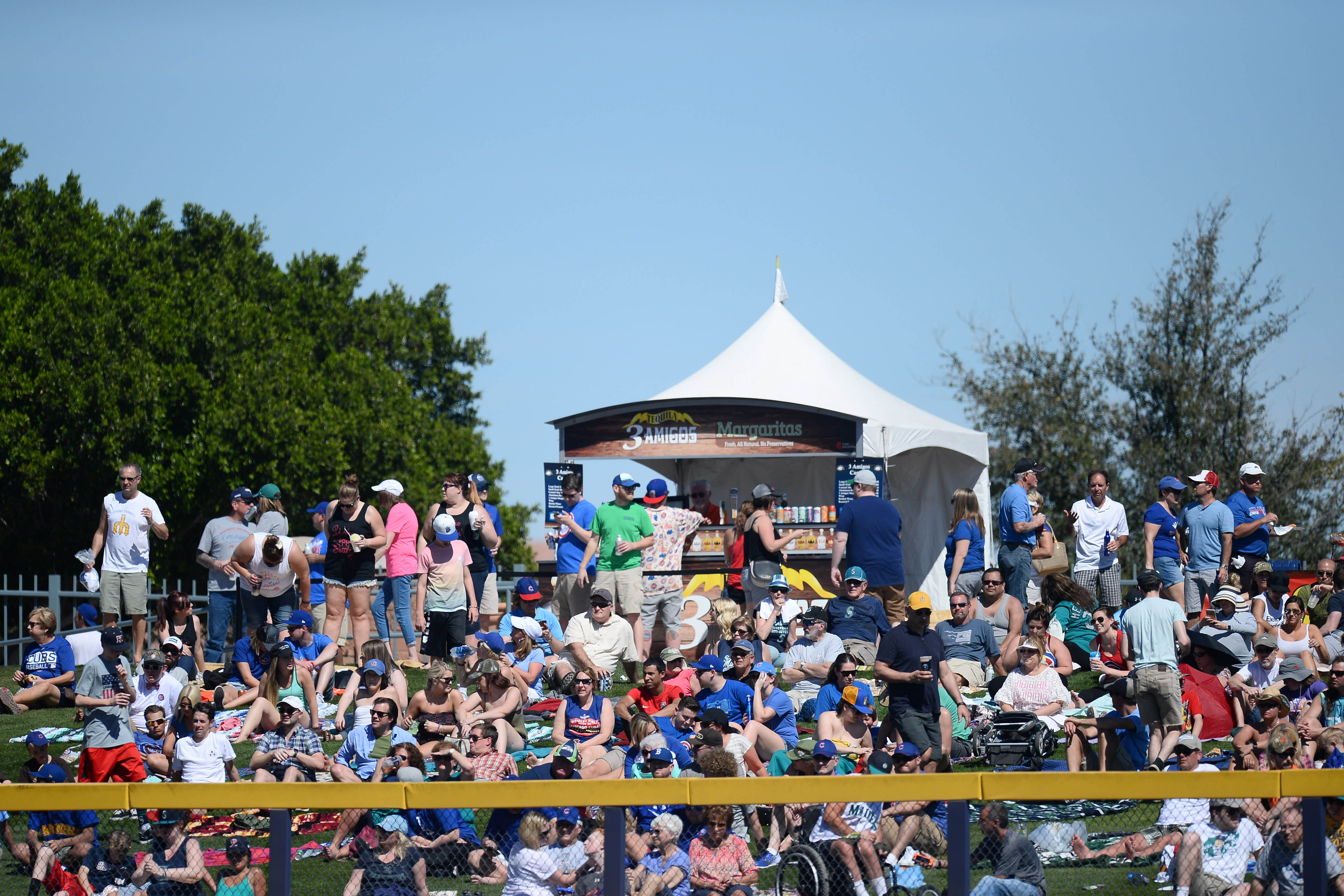 Spring Training The Seattle Mariners Fan Experience