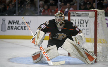 anaheim ducks
