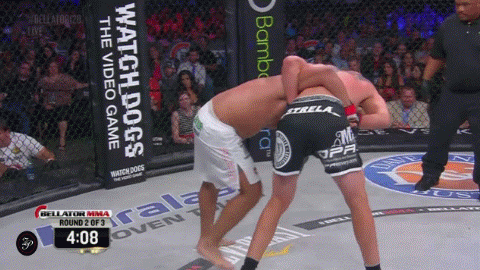 Blagoi_Ivanov_vs._Alexander_Volkov.gif 