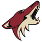 Arizona Coyotes