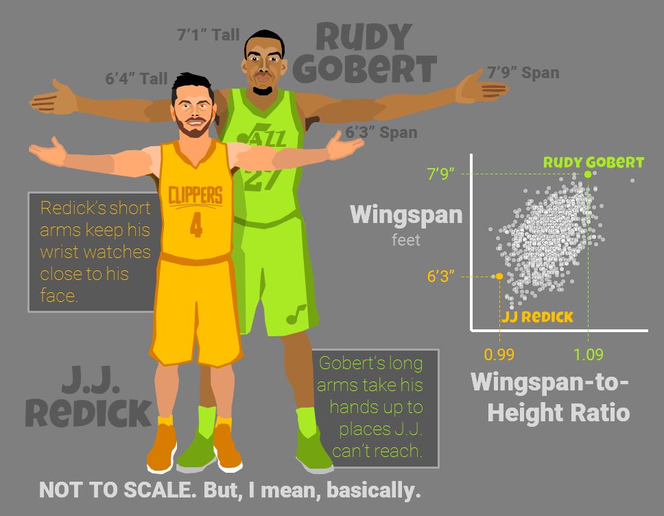 All-NBA-Body-Team-Arms.jpg