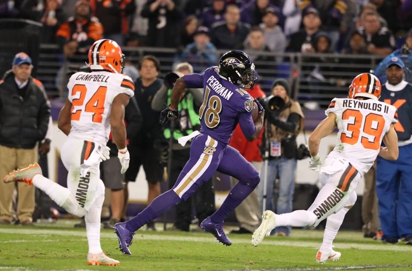 Nov 10, 2016; Baltimore, MD, USA; Baltimore Ravens wide receiver Breshad Perriman (18) runs for a gain after a catch against the Cleveland Browns at M&T Bank Stadium. Mandatory Credit: Mitch Stringer-USA TODAY Sports