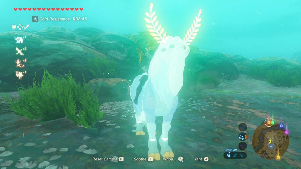 Breath Of The Wild How To Get All Rideable Mounts