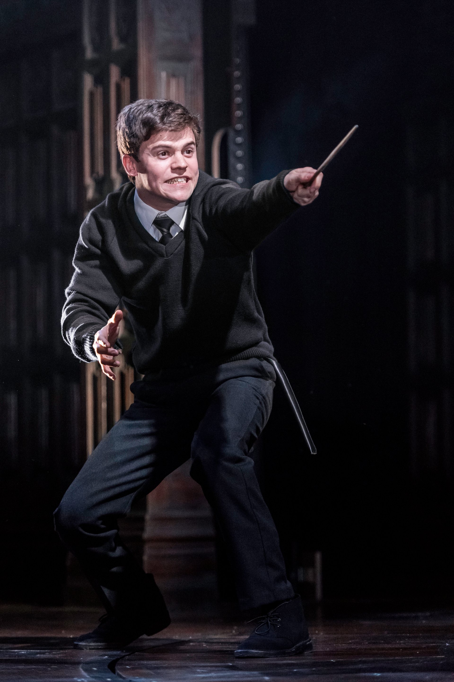 Harry Potter and the Order of Archetypes Delphini Diggory, Femme Fatale