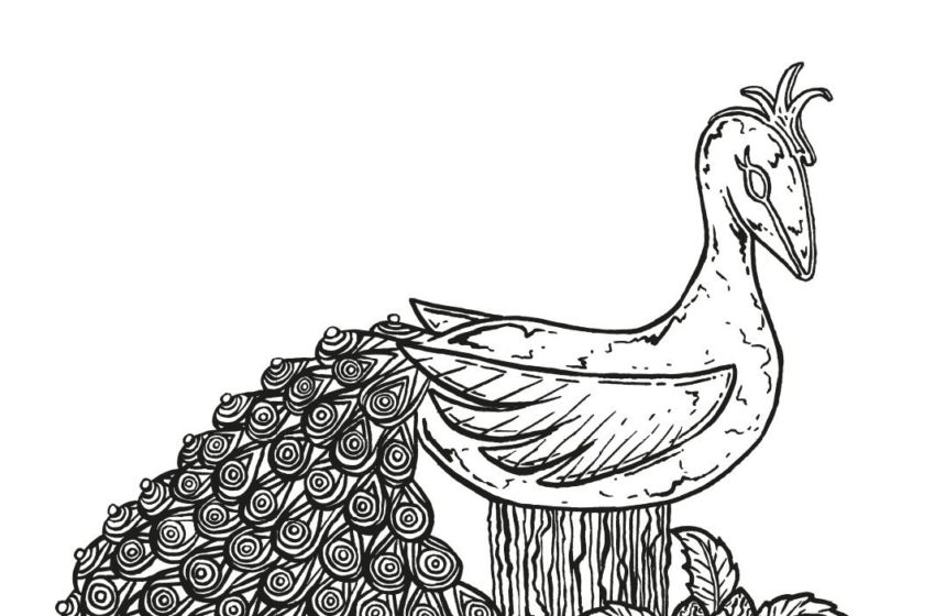 The Great British Bake Off Gets An Official Coloring Book