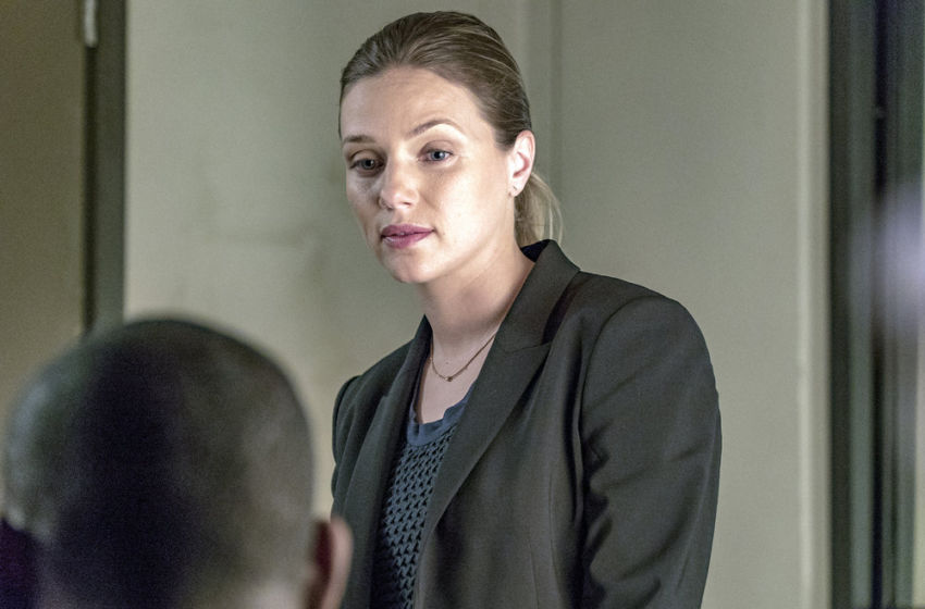 Who Is Chicago Pds New Detective Tracy Spiridakos 