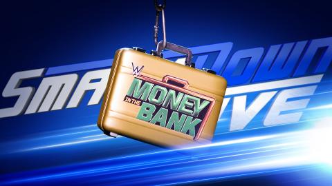 Image result for Womens MITB ladder match being planned for MITB PPV