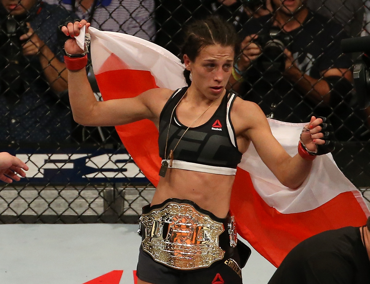 UFC 205: History of the strawweight championship