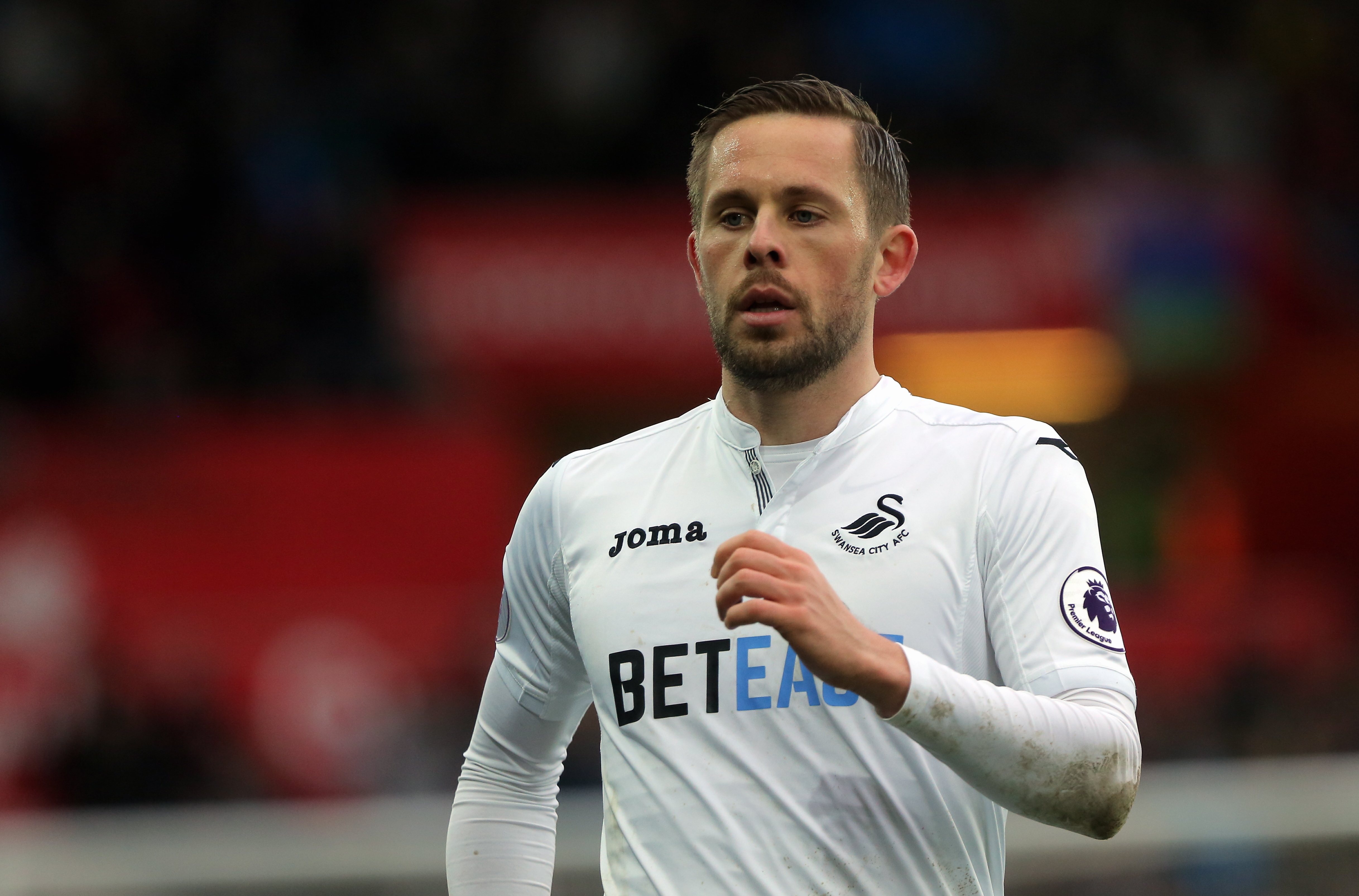 Fapl. Бьерн Сигурдссон. Sigurdsson Swansea. B.Sigurdsson ученый.