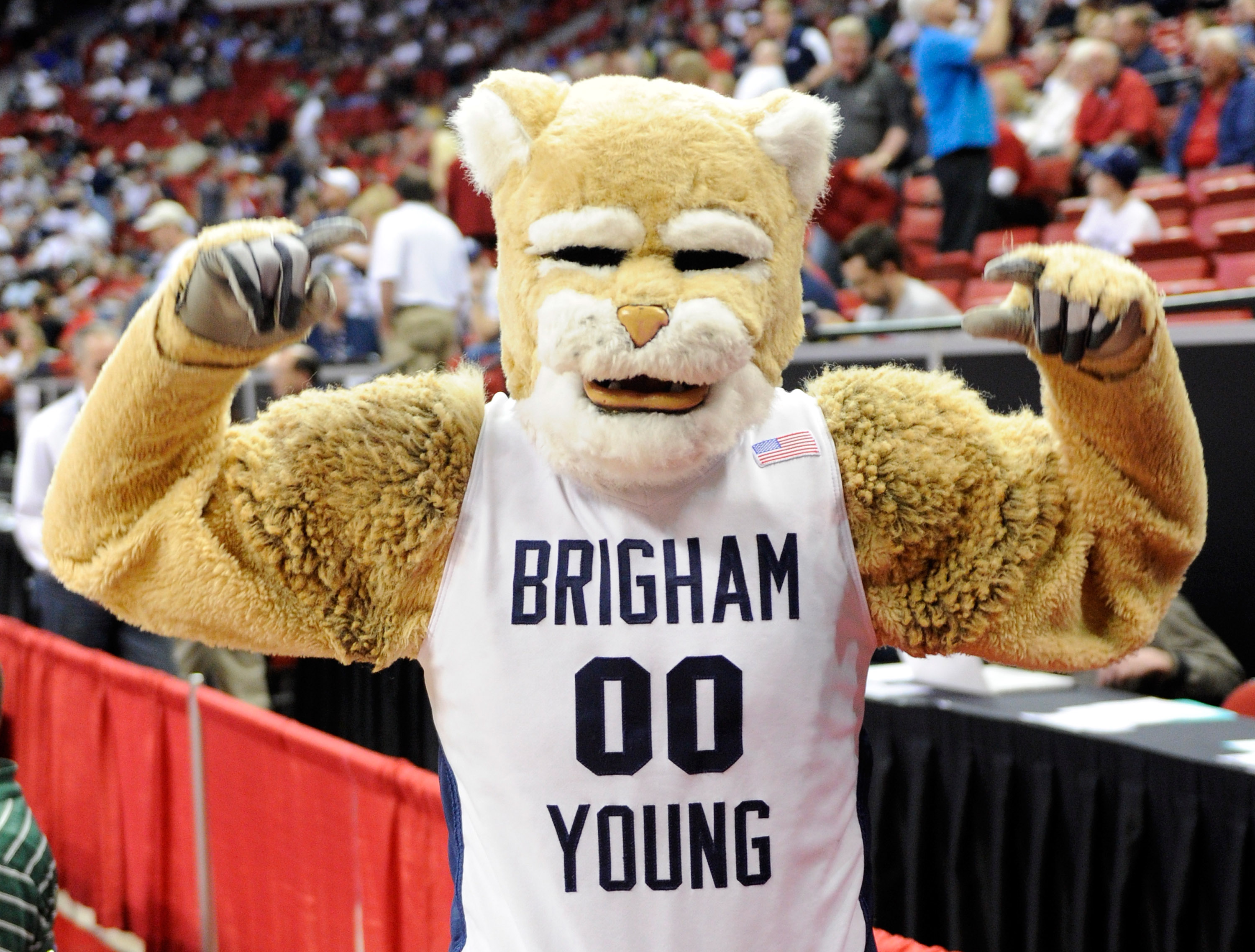 Byu idaho mascot