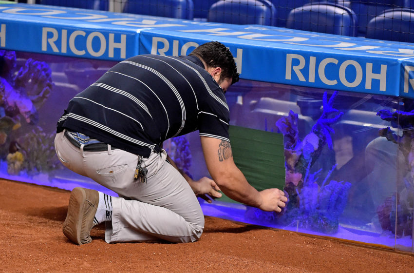 J.T. Realmuto breaks Miami Marlins' fish tank (Video)