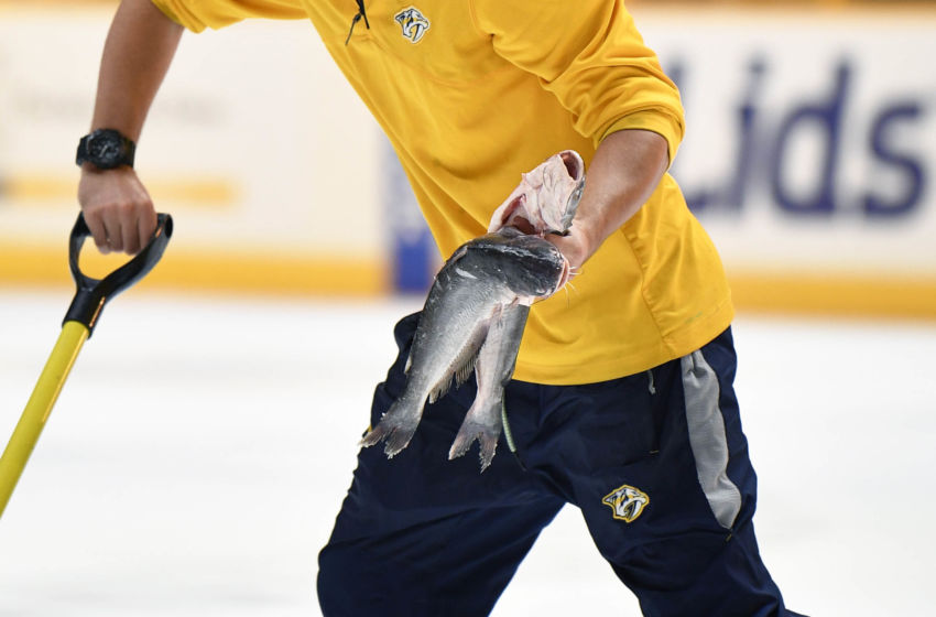 catfish predators hockey