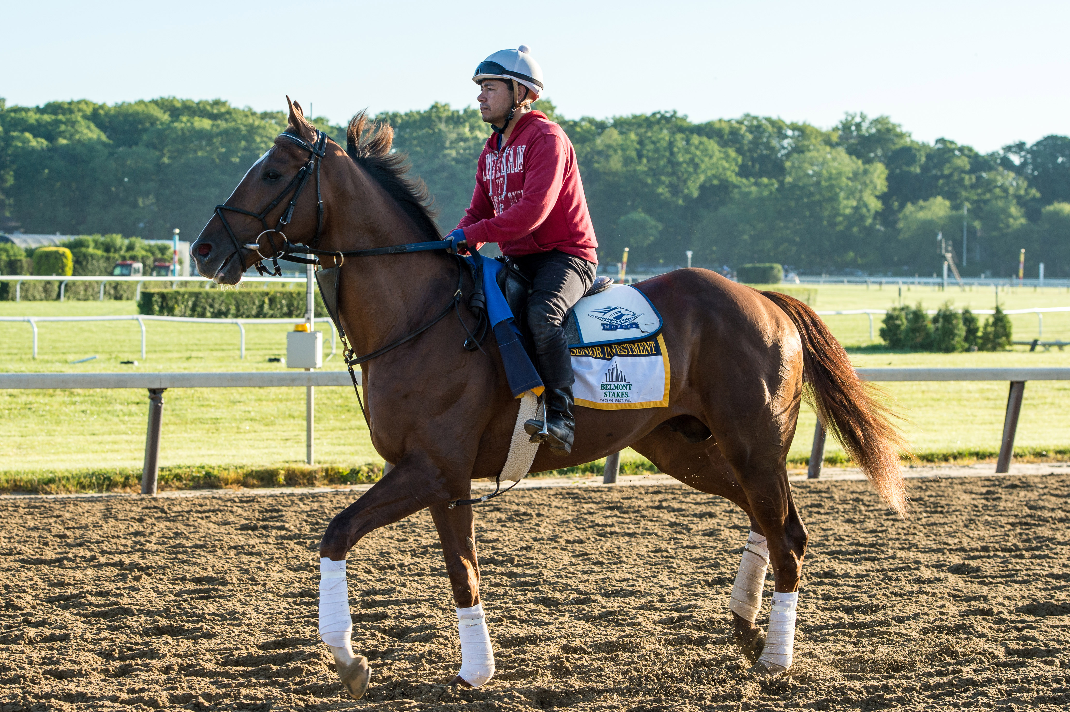 Preakness