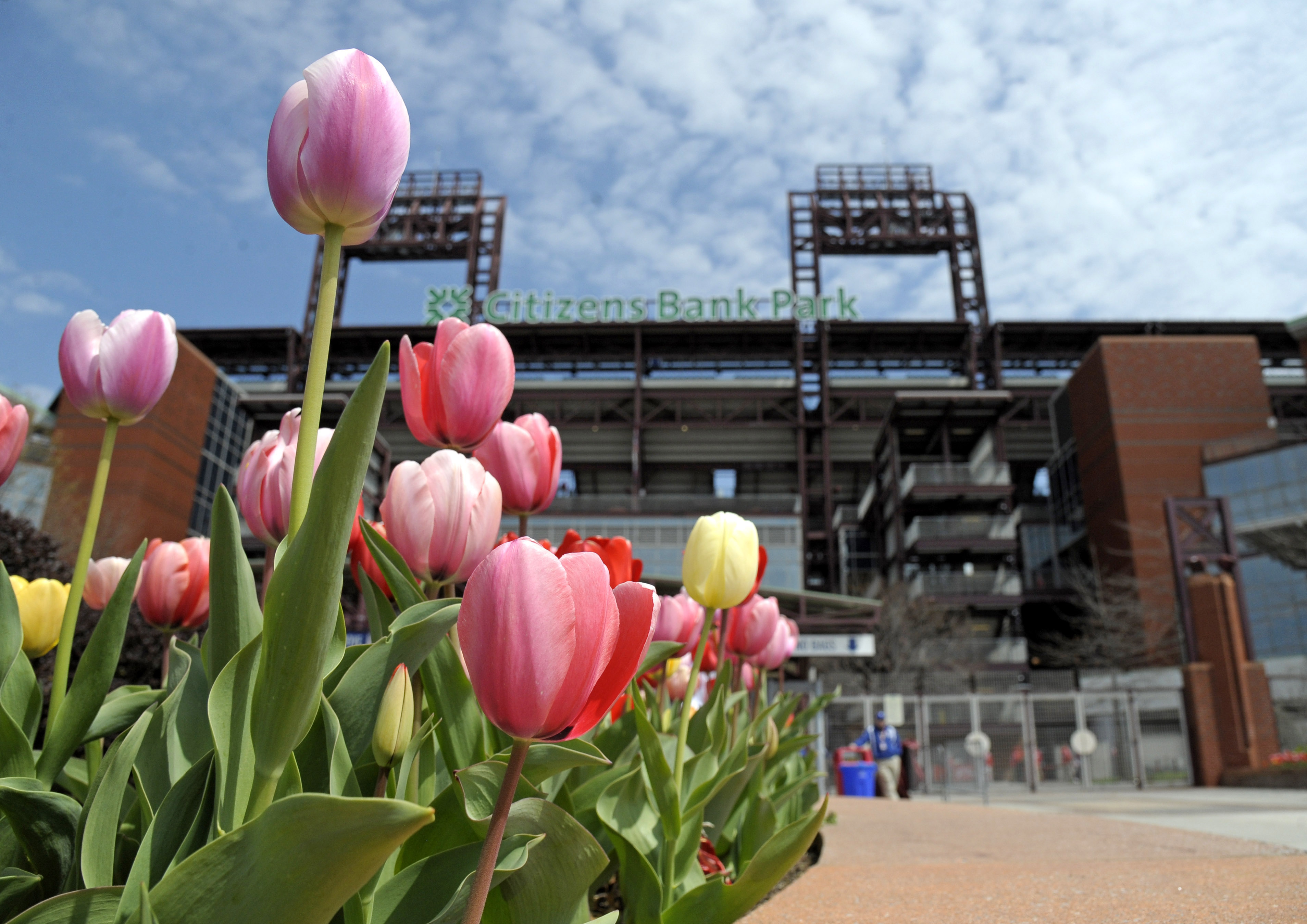 phillies game live stream