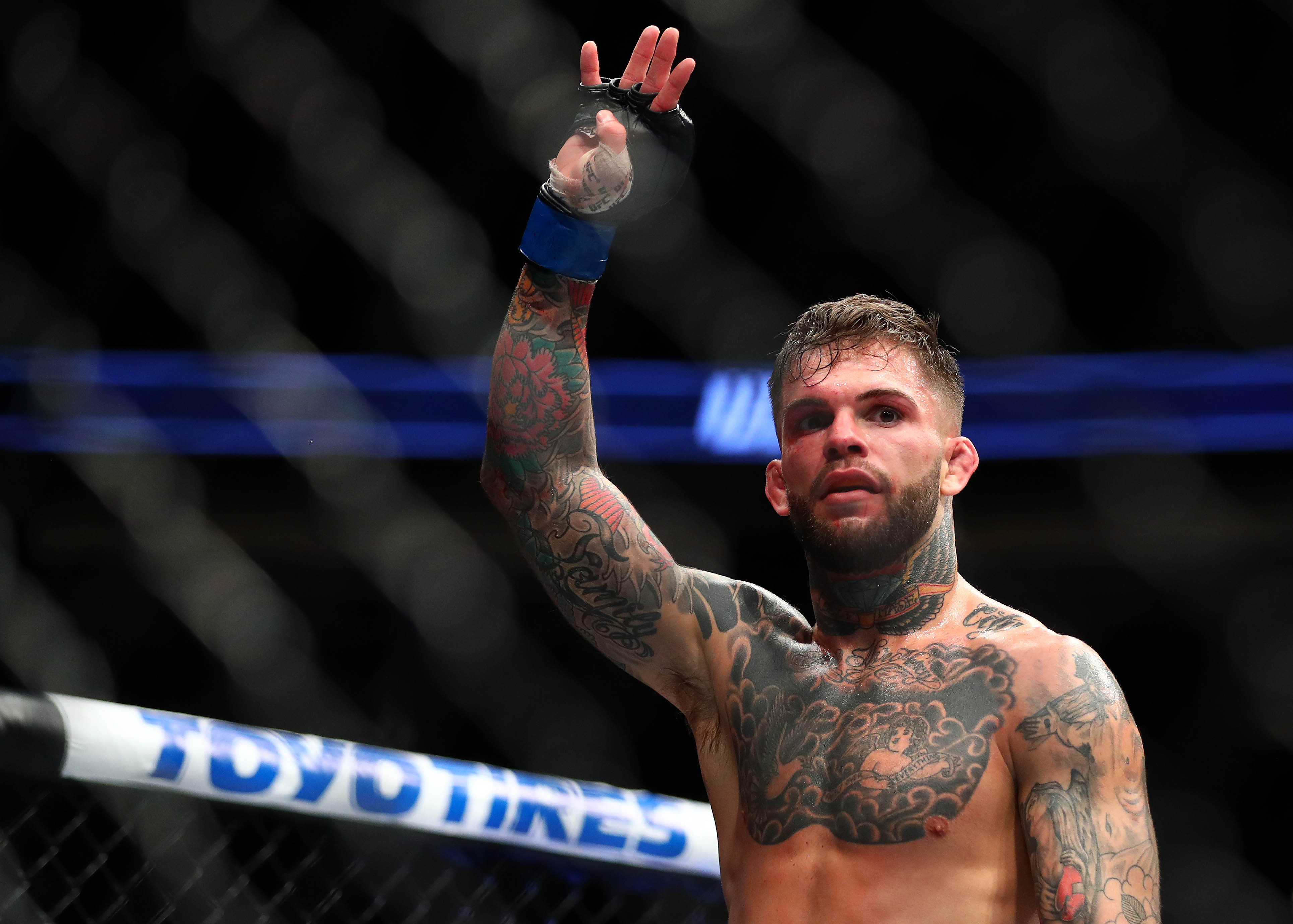 Cody Garbrandt hoping to fight TJ Dillashaw at UFC 214