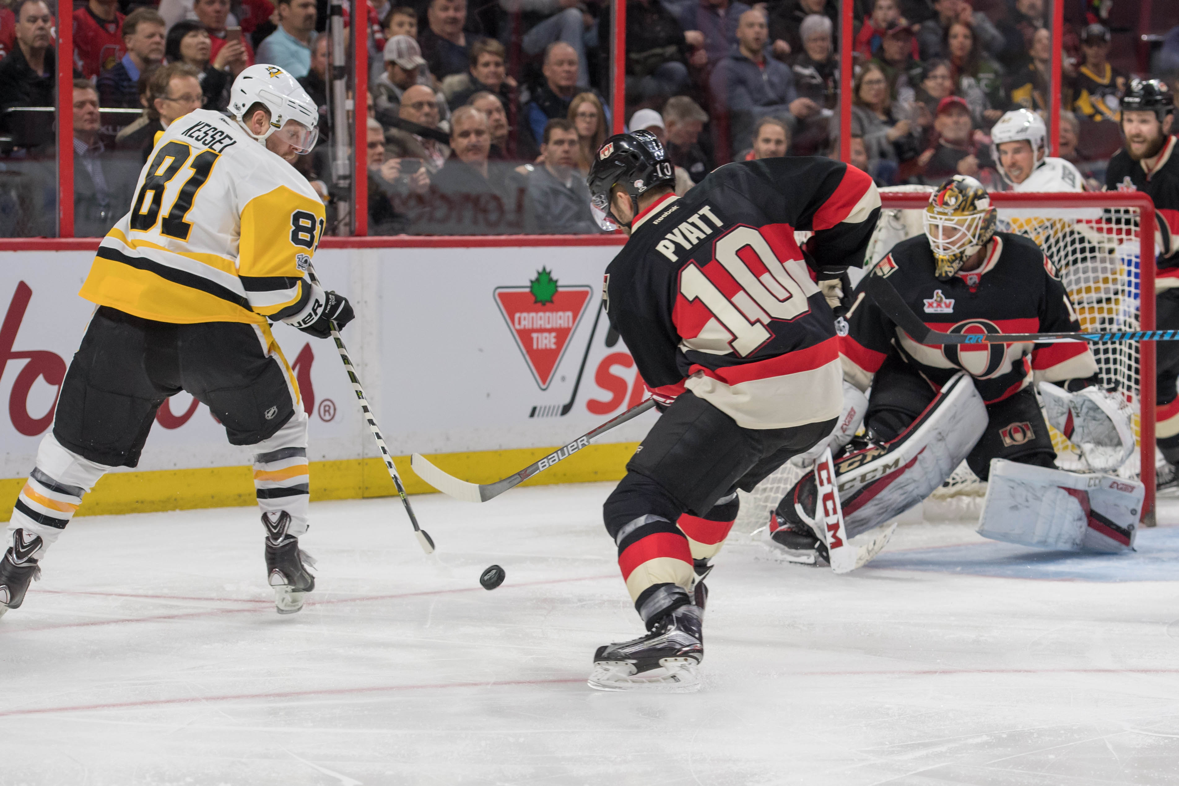 Ottawa Senators: Penguins Flock To Kanata - SenShot