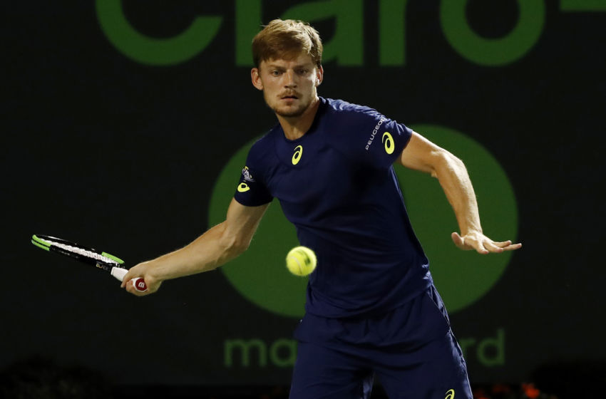 David Goffin upsets Novak Djokovic, into semifinals at Monte Carlo