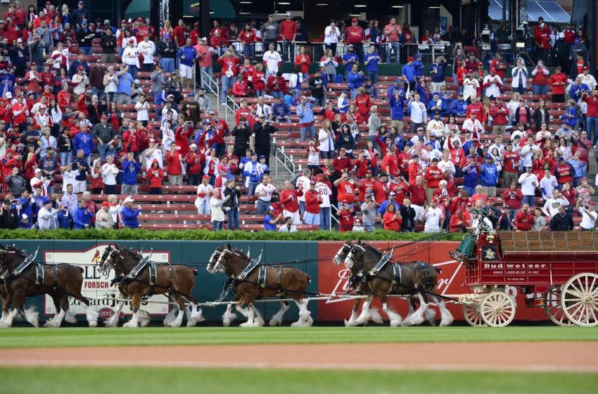 St. Louis Cardinals: Cubs vs. Cardinals Series Preview