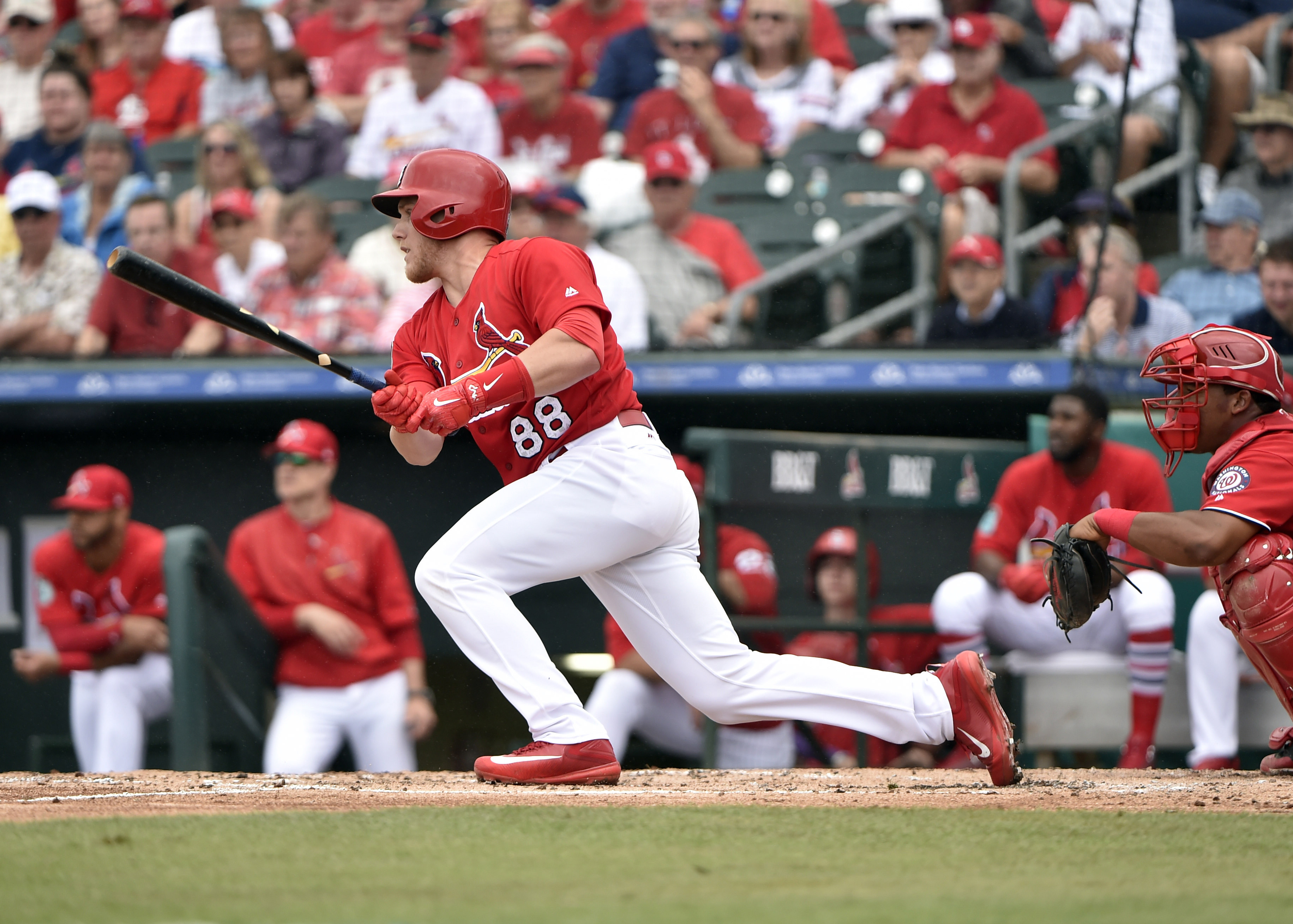 St. Louis Cardinals: Harrison Bader Spring Training Surge